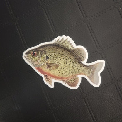 Premium vinyl die cut fish sticker by InkBird Print Studio, green scales, pink belly, on black diamond-pattern surface. Printed for Good Days Marina